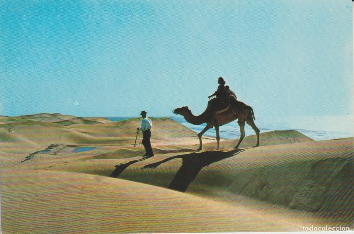 Postales: (340) MASPALOMAS. GRAN CANARIA. PLAYA . - Foto 1