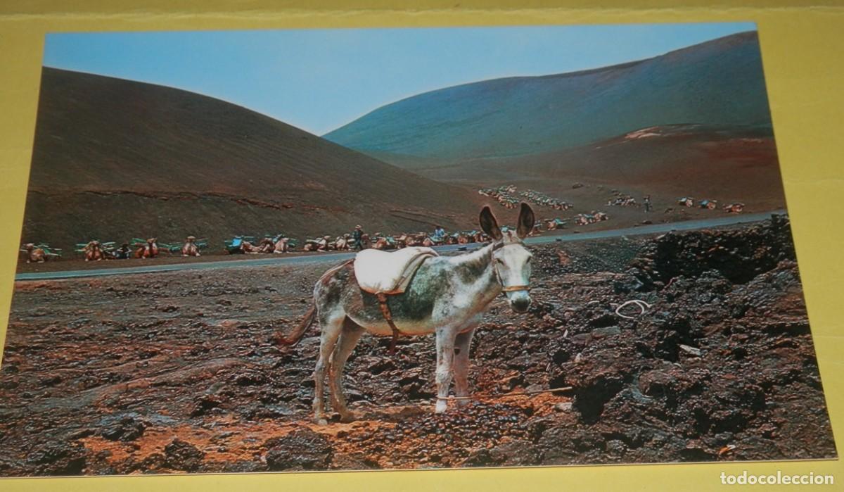 Postales: TARGETA POSTAL DE LA ISLA DE LANZAROTE - Foto 1