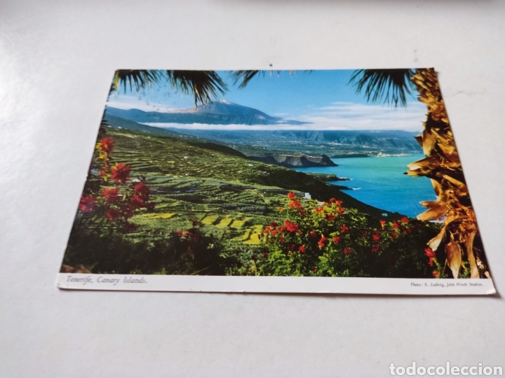 Postales: Postal Tenerife - Foto 1