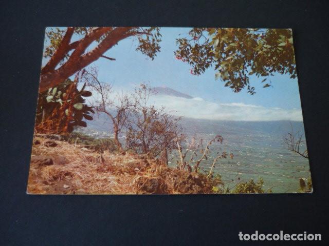 Postales: VALLE DE LA OROTAVA TENERIFE - Foto 1