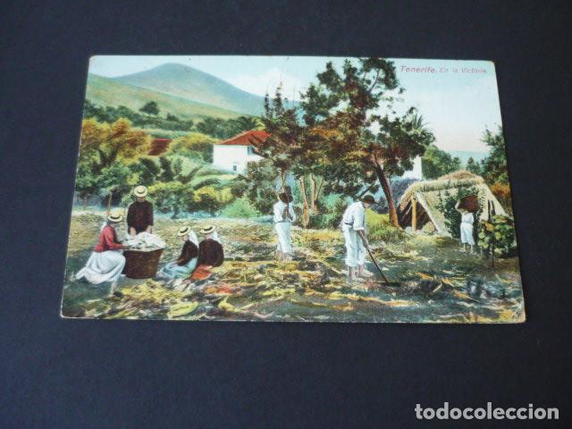 Postales: TENERIFE EN LA VICTORIA - Foto 1