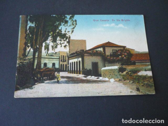 Postales: GRAN CANARIA SANTA BRIGIDA - Foto 1