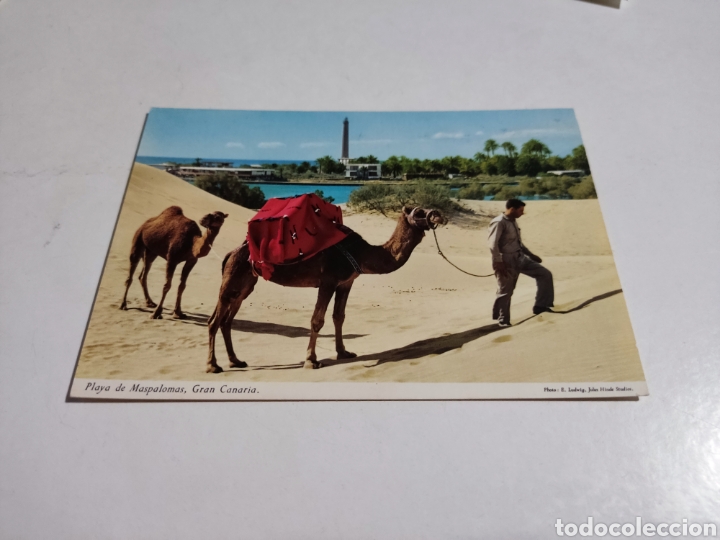 Postales: Postal playa de Maspalomas, gran canaria - Foto 1