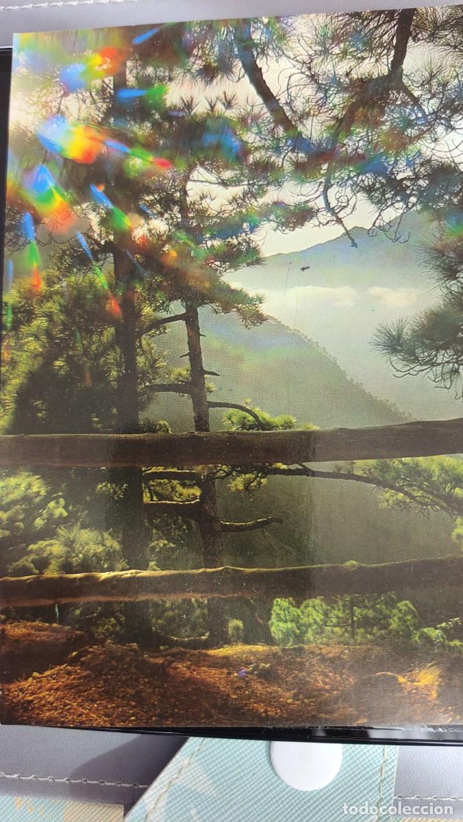 Postales: Isla de La Palma. A&ntilde;o 86. Escrita - Foto 1