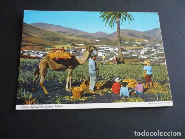 Postales: LANZAROTE VALLE DE YAIZA - Foto 1