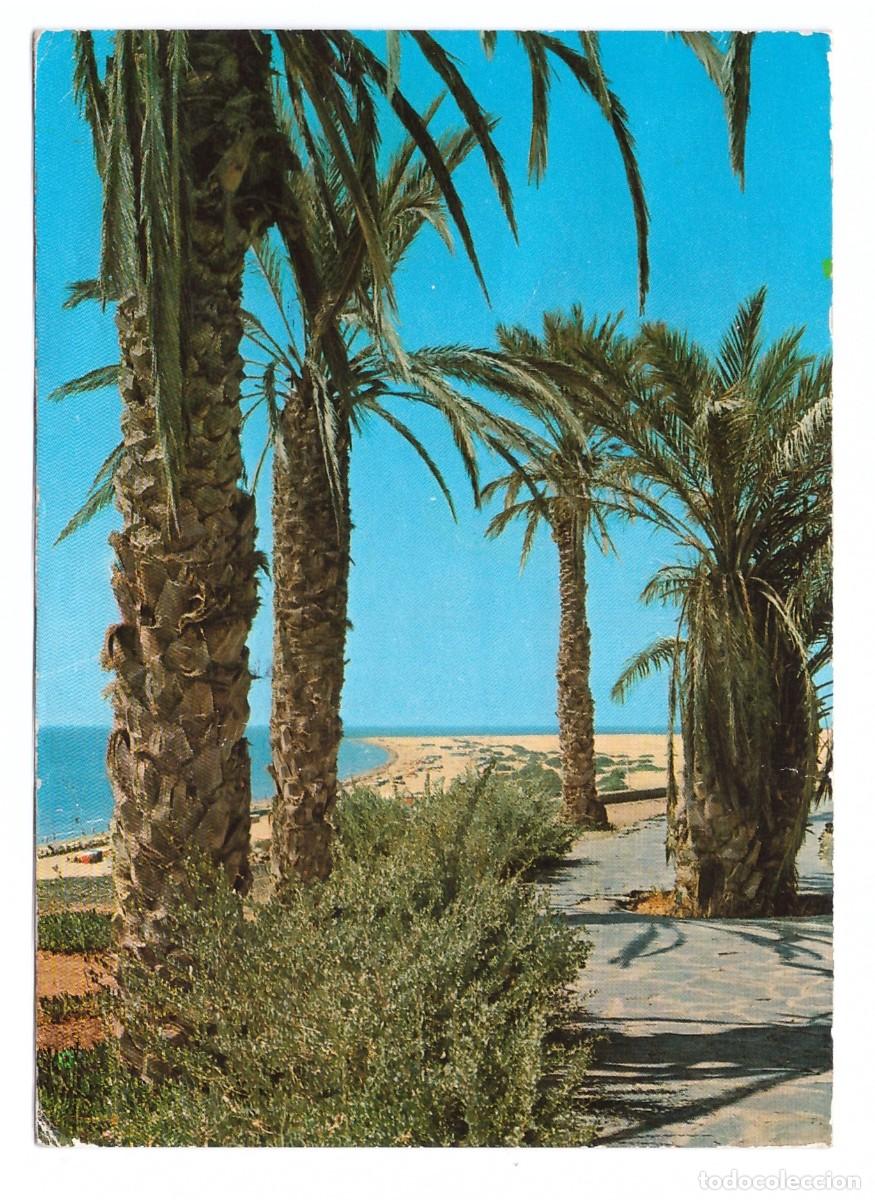 Postales: ESPA&Ntilde;A &bull; GRAN CANARIA &bull; PLAYA DEL INGL&Eacute;S - Foto 1