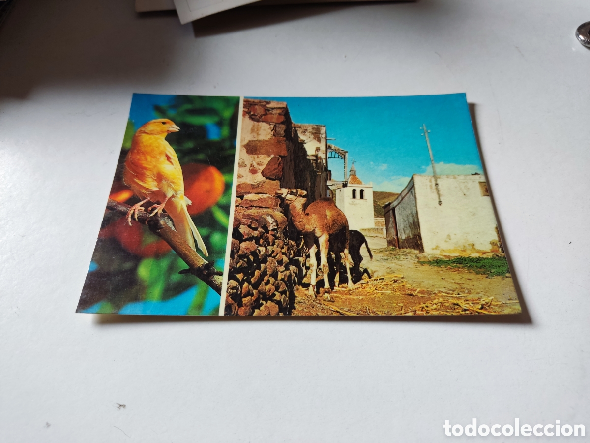 Postales: Postal Tenerife - Foto 1