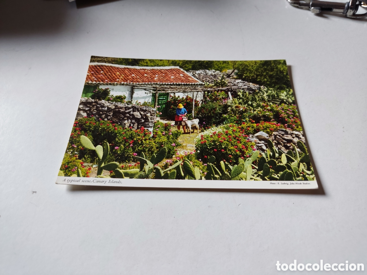 Postales: Postal Canarias - Foto 1