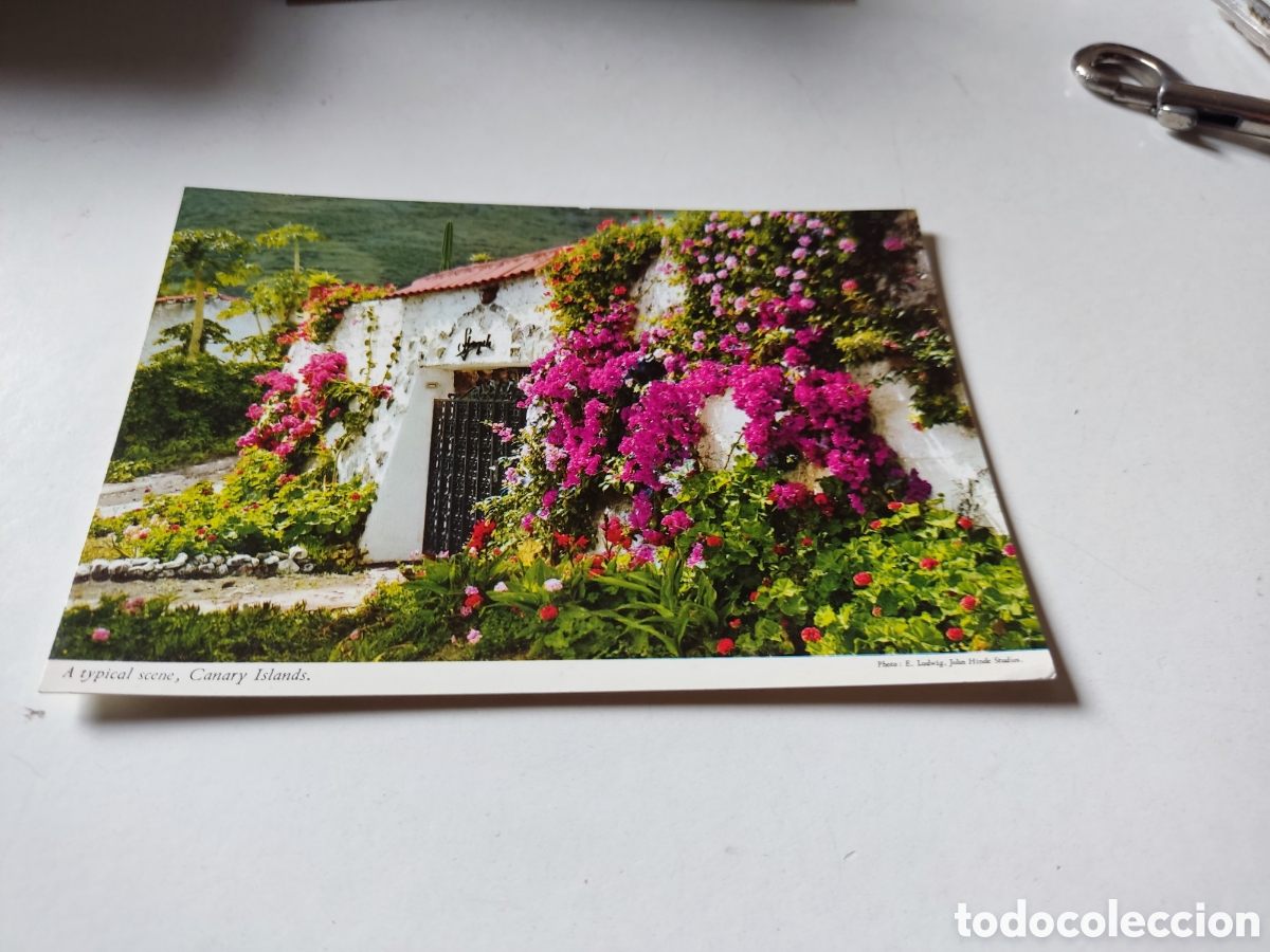 Postales: Postal Canarias - Foto 1