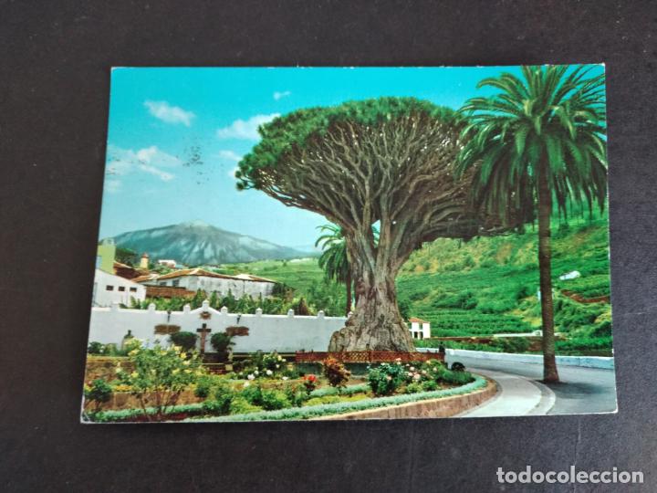 Postales: ICOD DE LOS VINOS TENERIFE - Foto 1