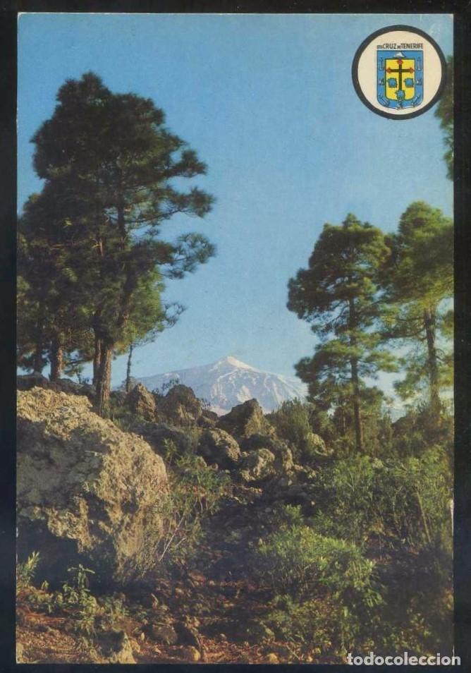 Postales: Teide. *Paisaje de la Guancha* Nueva.