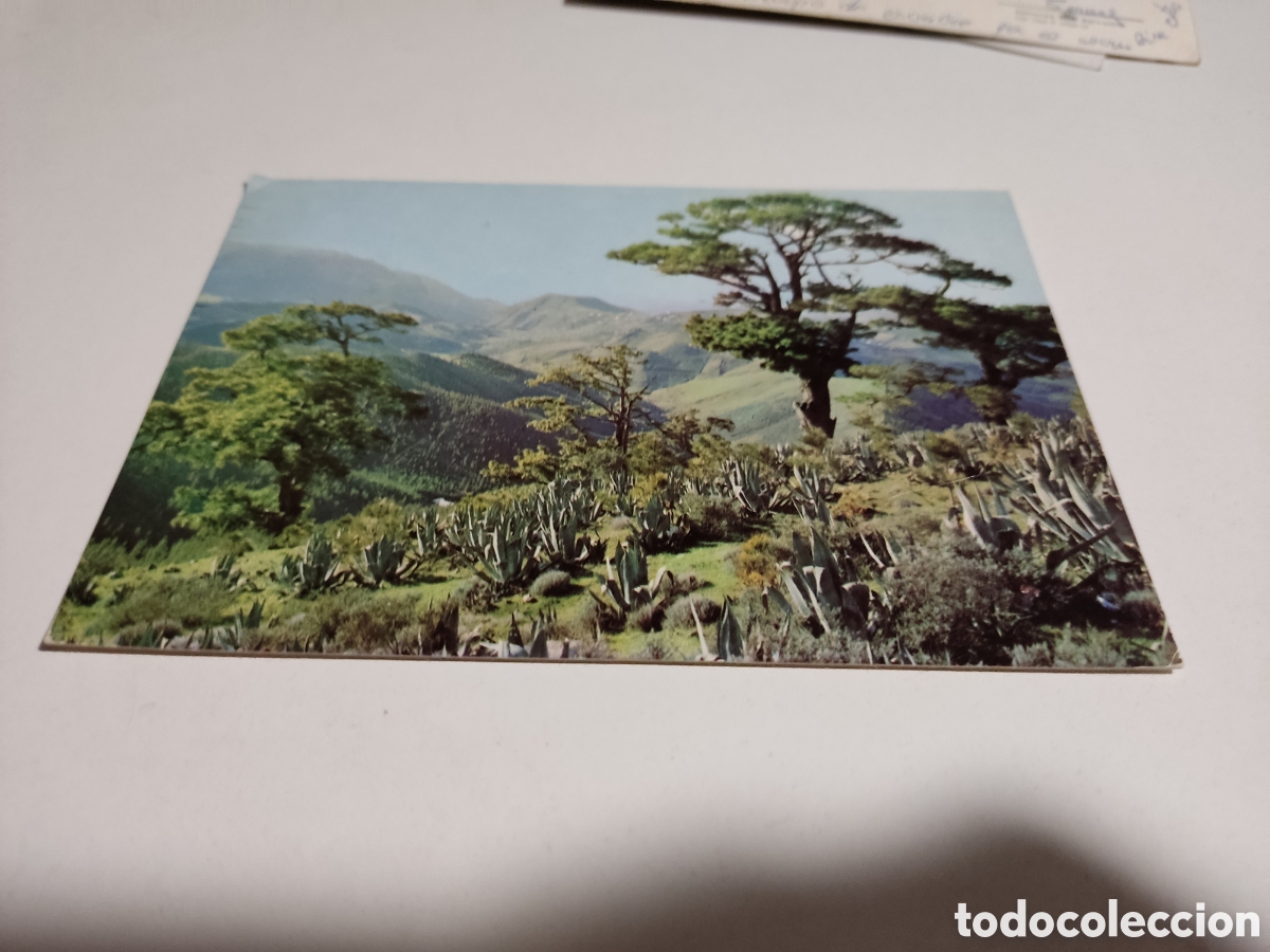 Postales: Postal monta&ntilde;as canarias - Foto 1