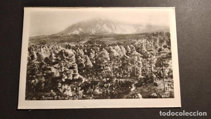 Postales: TENERIFE EL TEIDE Y PINAR DE ICOD - Foto 1