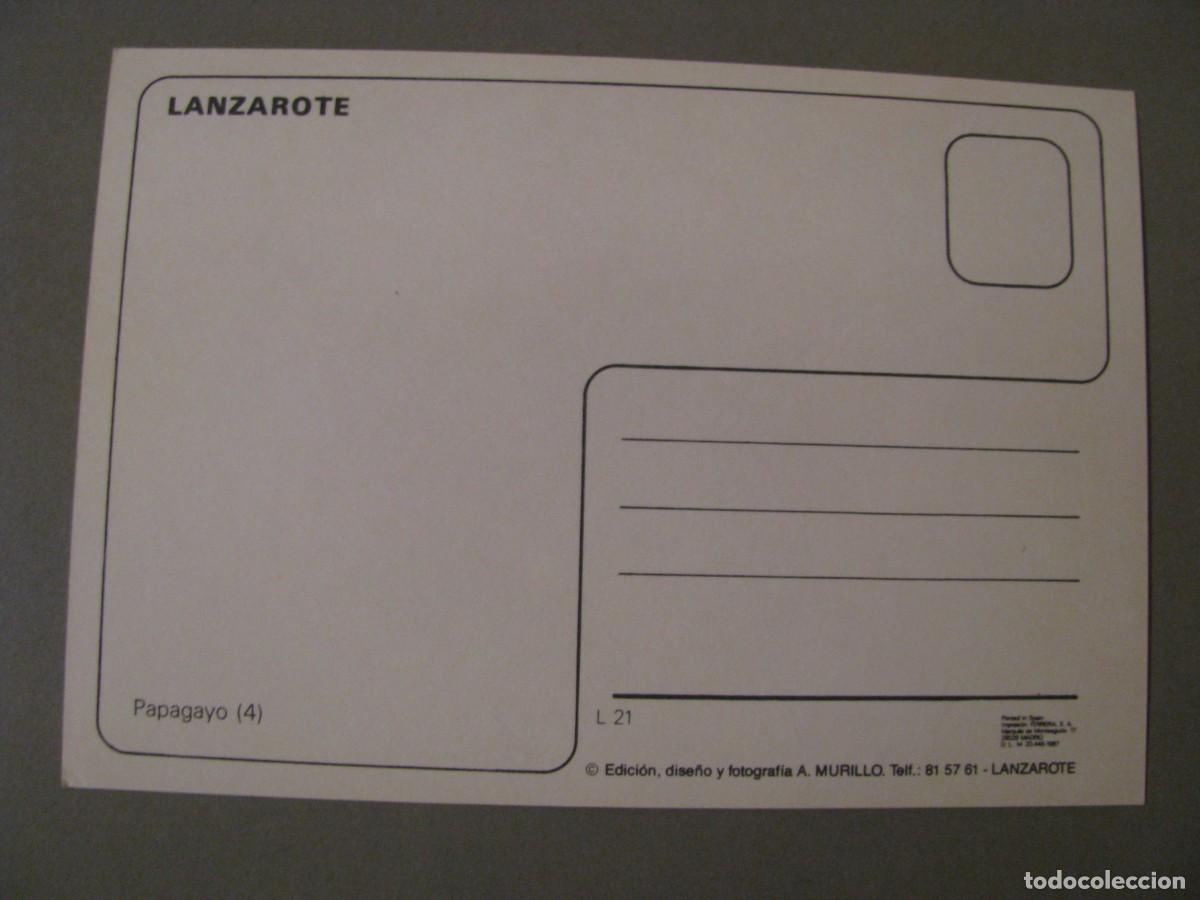 Postales: POSTAL DE LANZAROTE. PAPAGAYO. A. MURILLO. - Foto 2