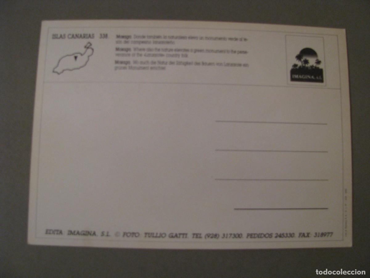 Postales: POSTAL DE LANZAROTE. MOZAGA. - Foto 2
