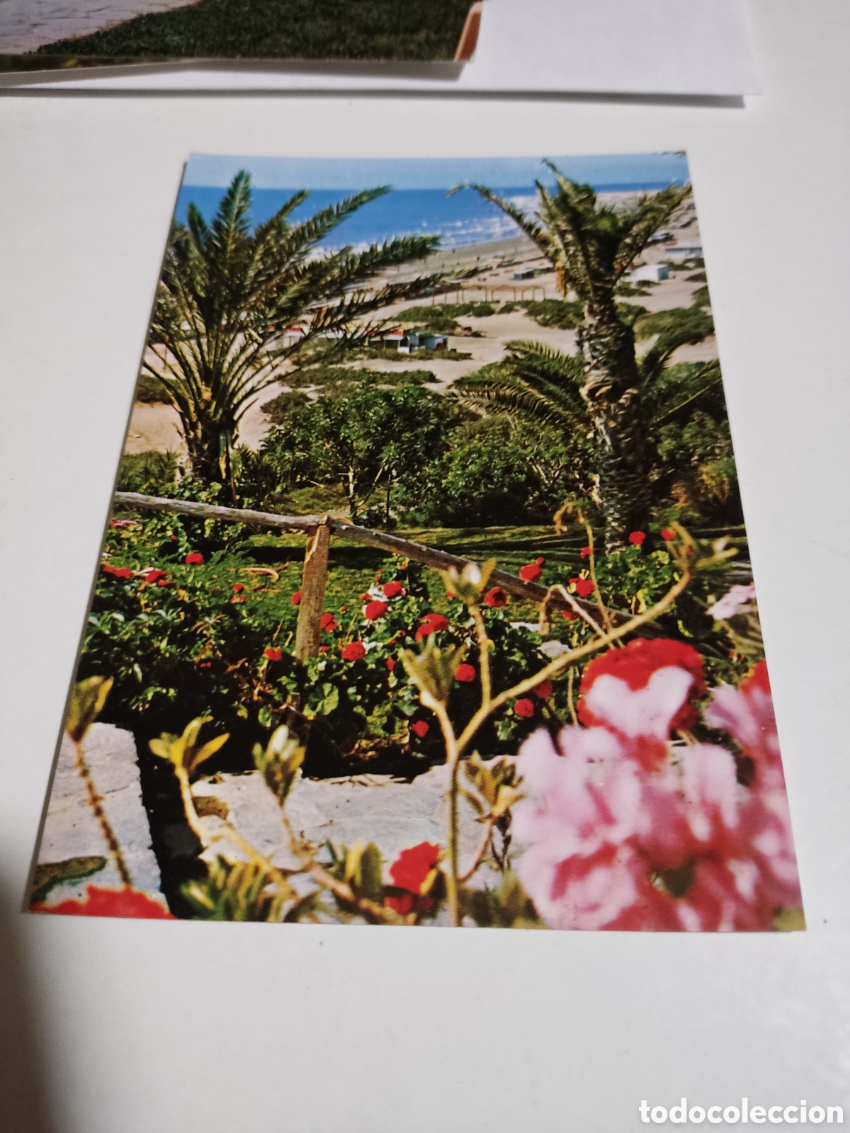 Postales: Postal Gran Canaria - Foto 1
