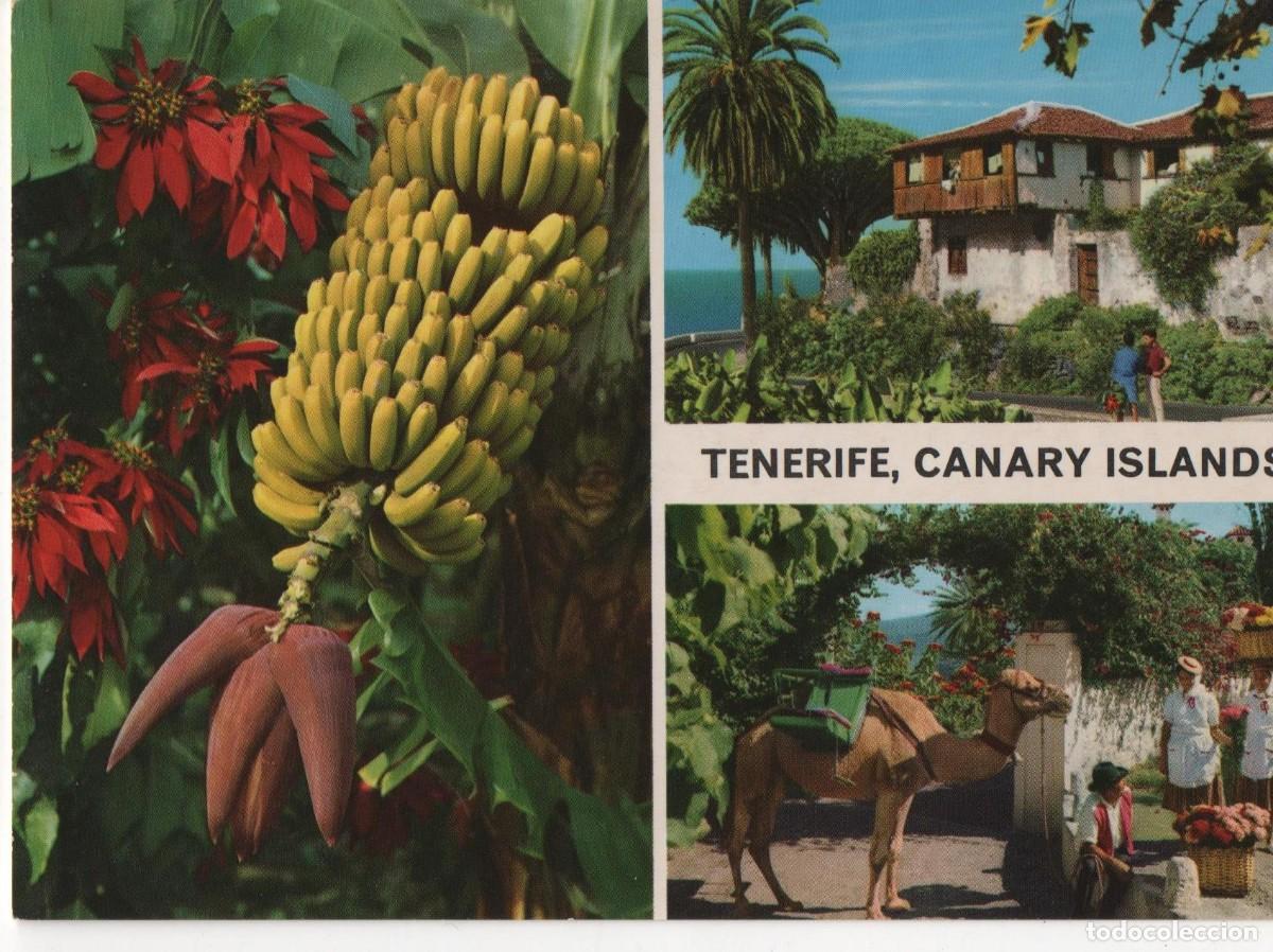 Postales: Postal de Tenerife-escrita- - Foto 1