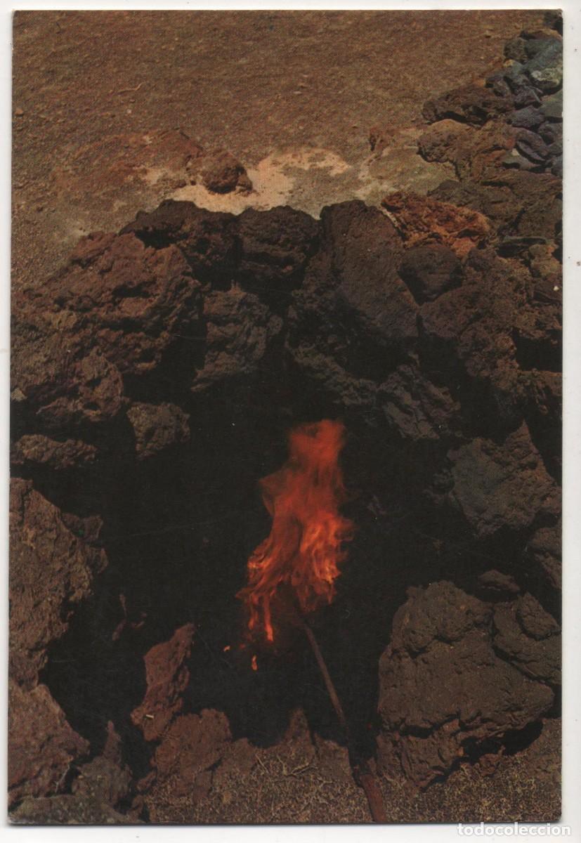 Postales: Postal de Lanzarote-circulada- - Foto 1