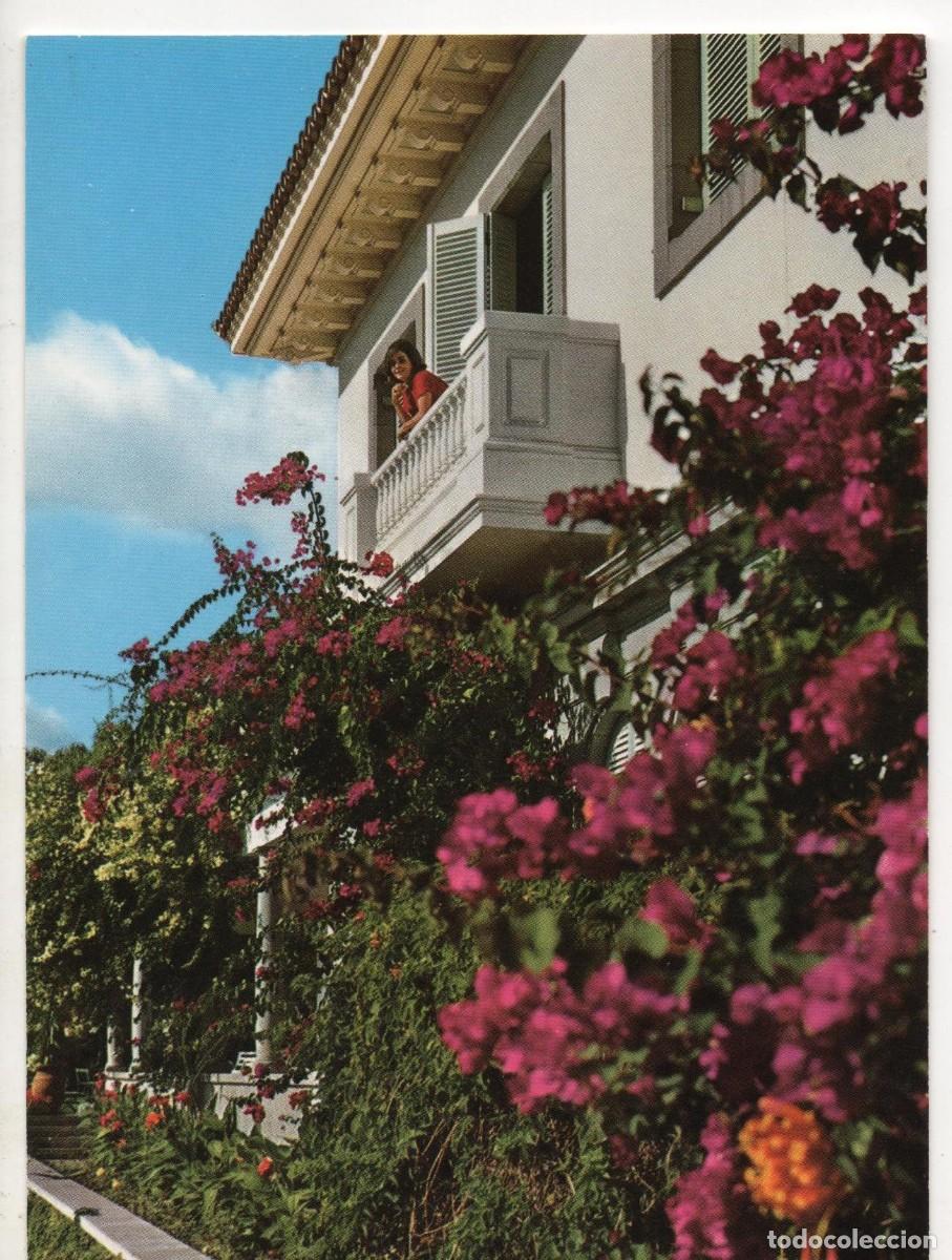 Postales: Postal de Tenerife-sin circular- - Foto 1