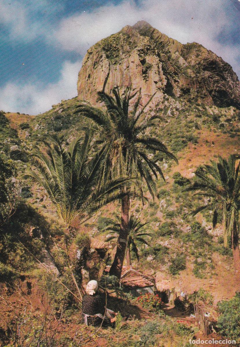 Postales: CANARIAS LA GOMERA - VALLEHERMOSO - Foto 1