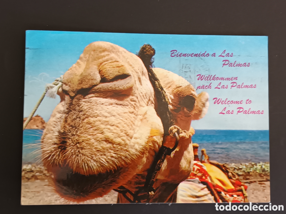 Postales: POSTAL DE LAS PALMAS DE GRAN CANARIA. - Foto 1