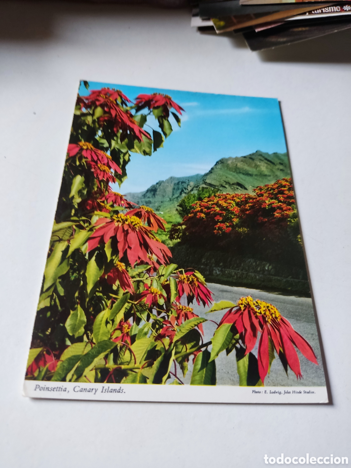 Postales: Postal islas canarias - Foto 1