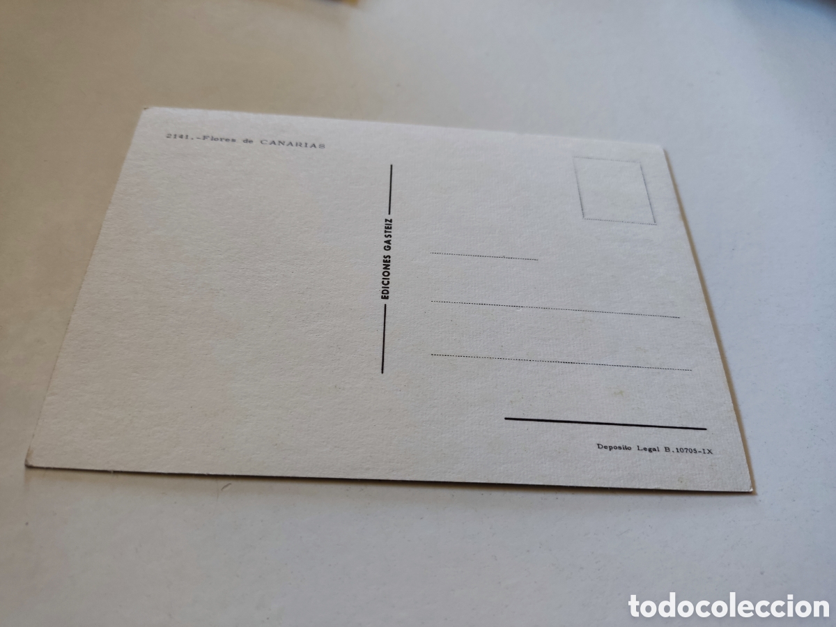 Postales: Postal flores de Canarias - Foto 2