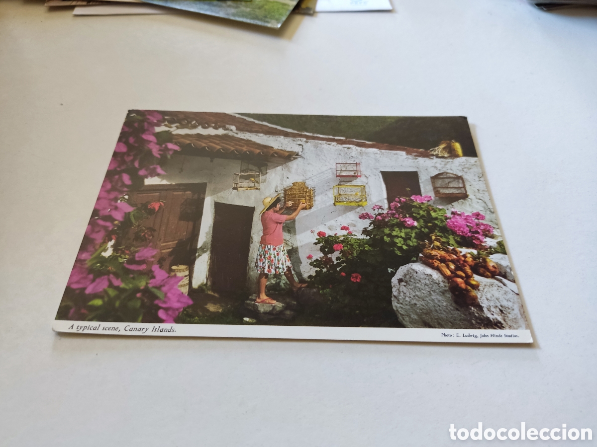 Postales: Postal Islas Canarias - Foto 1