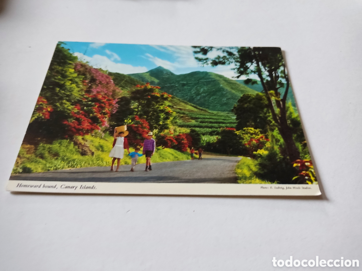 Postales: Postal Canarias - Foto 1