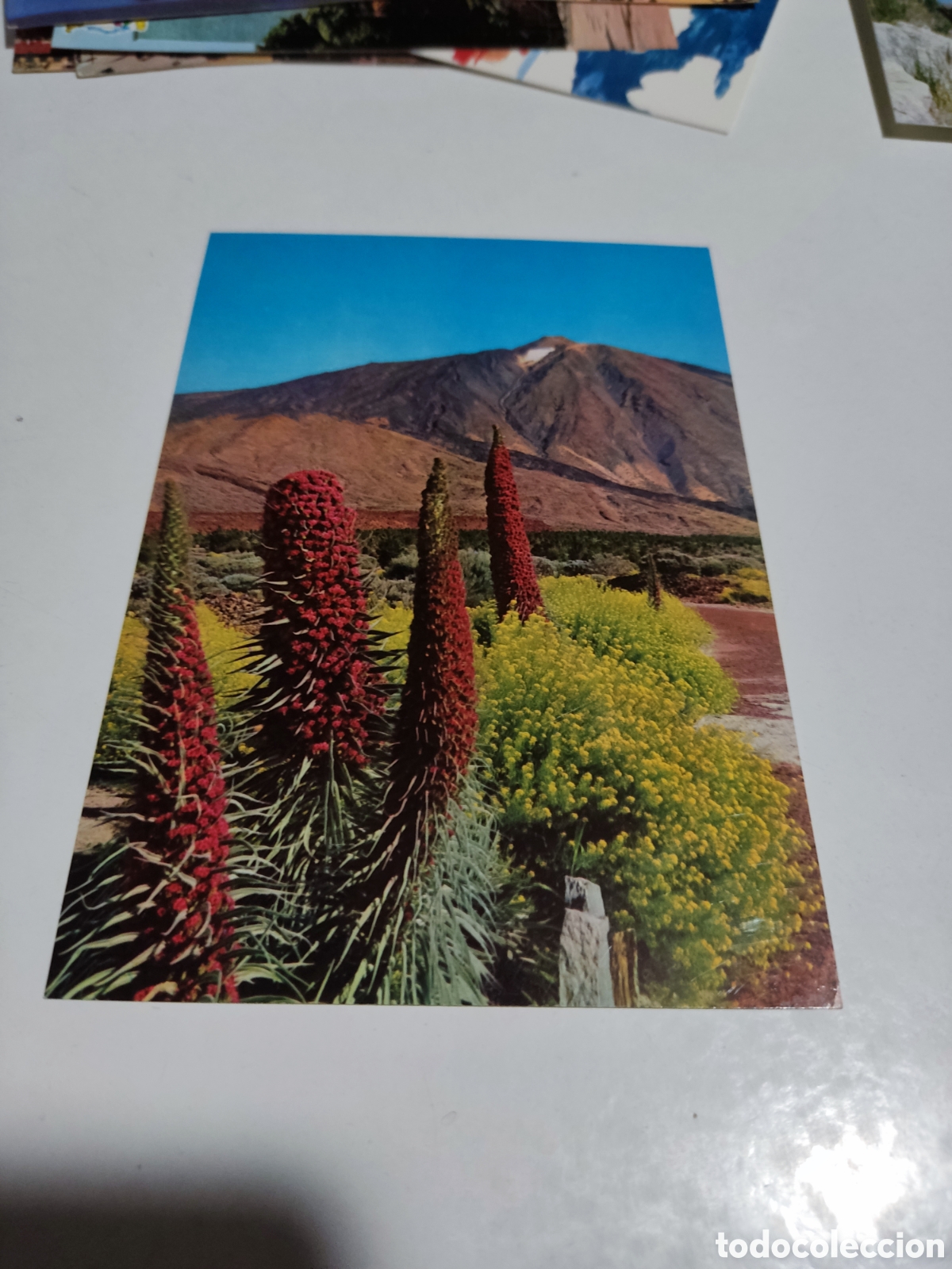 Postales: Postal Tenerife - Foto 1