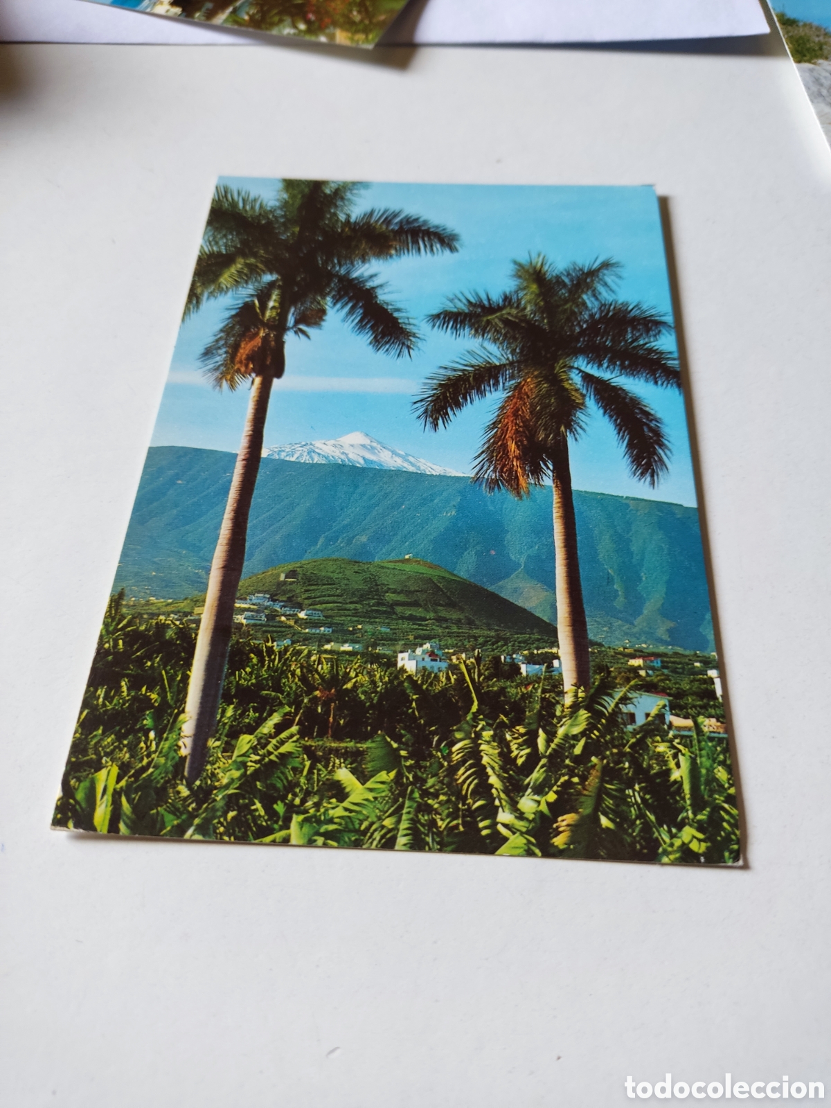 Postales: Postal Tenerife - Foto 1