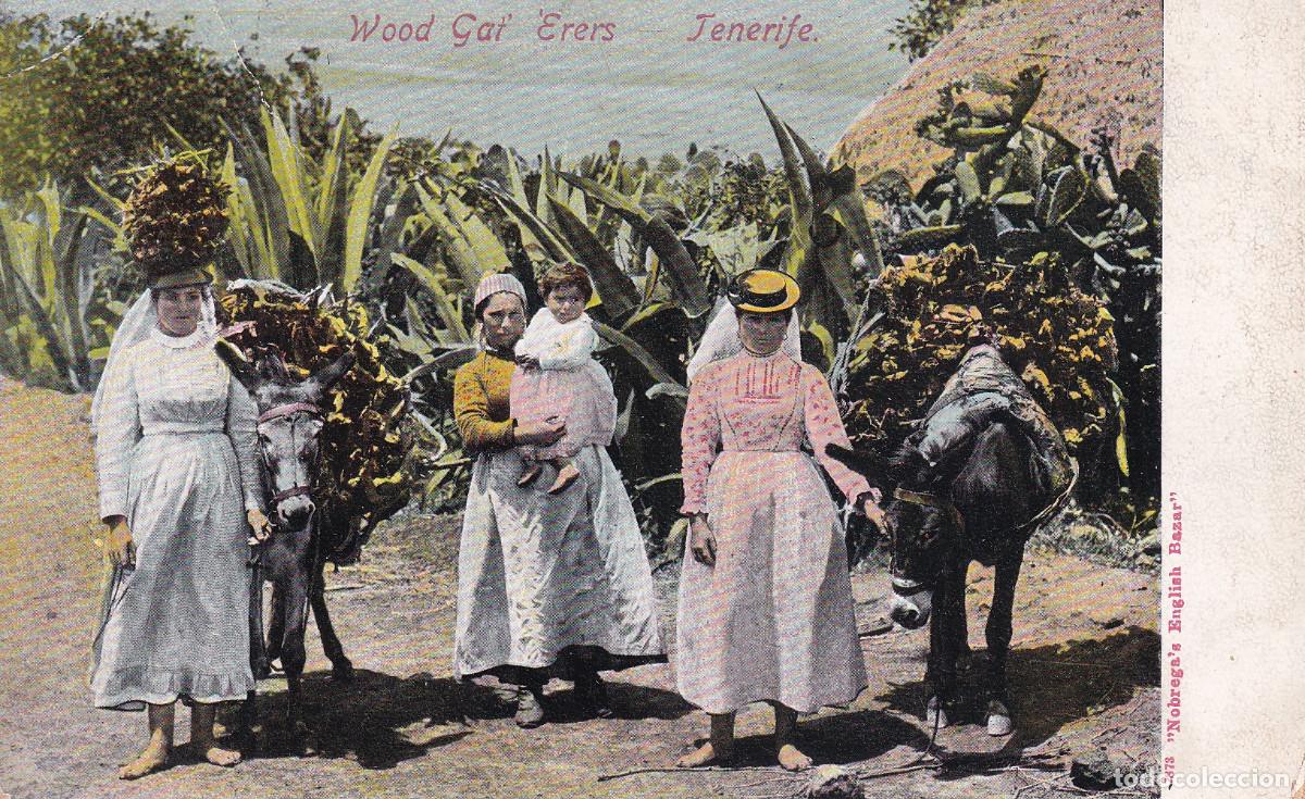 Postales: TENERIFE WOOD - Foto 1