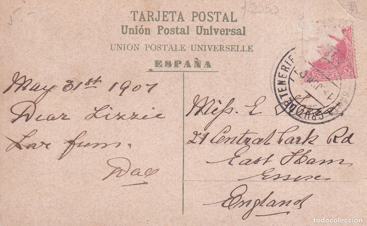 Postales: TENERIFE WOOD - Foto 2