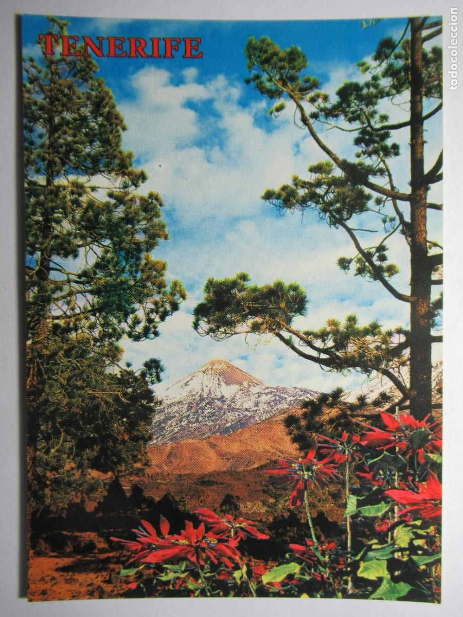 Postales: Tenerife - El Teide - Foto 1