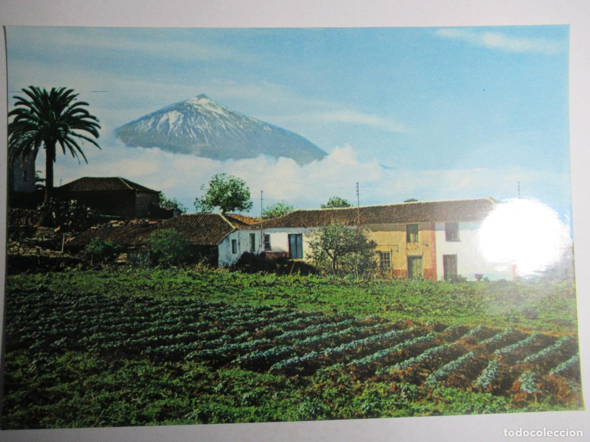 Postales: Canarias - Teide y Pasaje T&iacute;pico - Foto 1