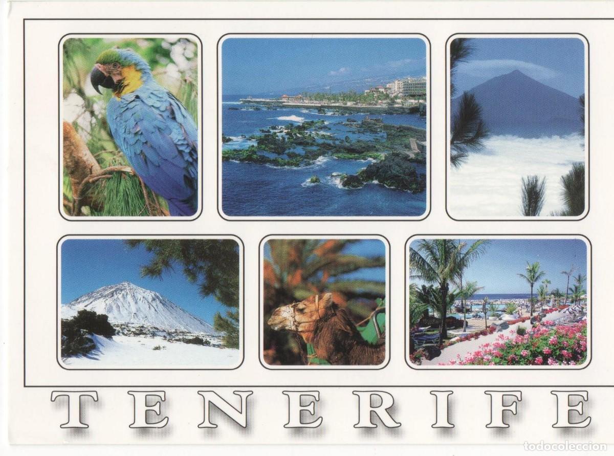 Postales: Tenerife-Circulada - Foto 1