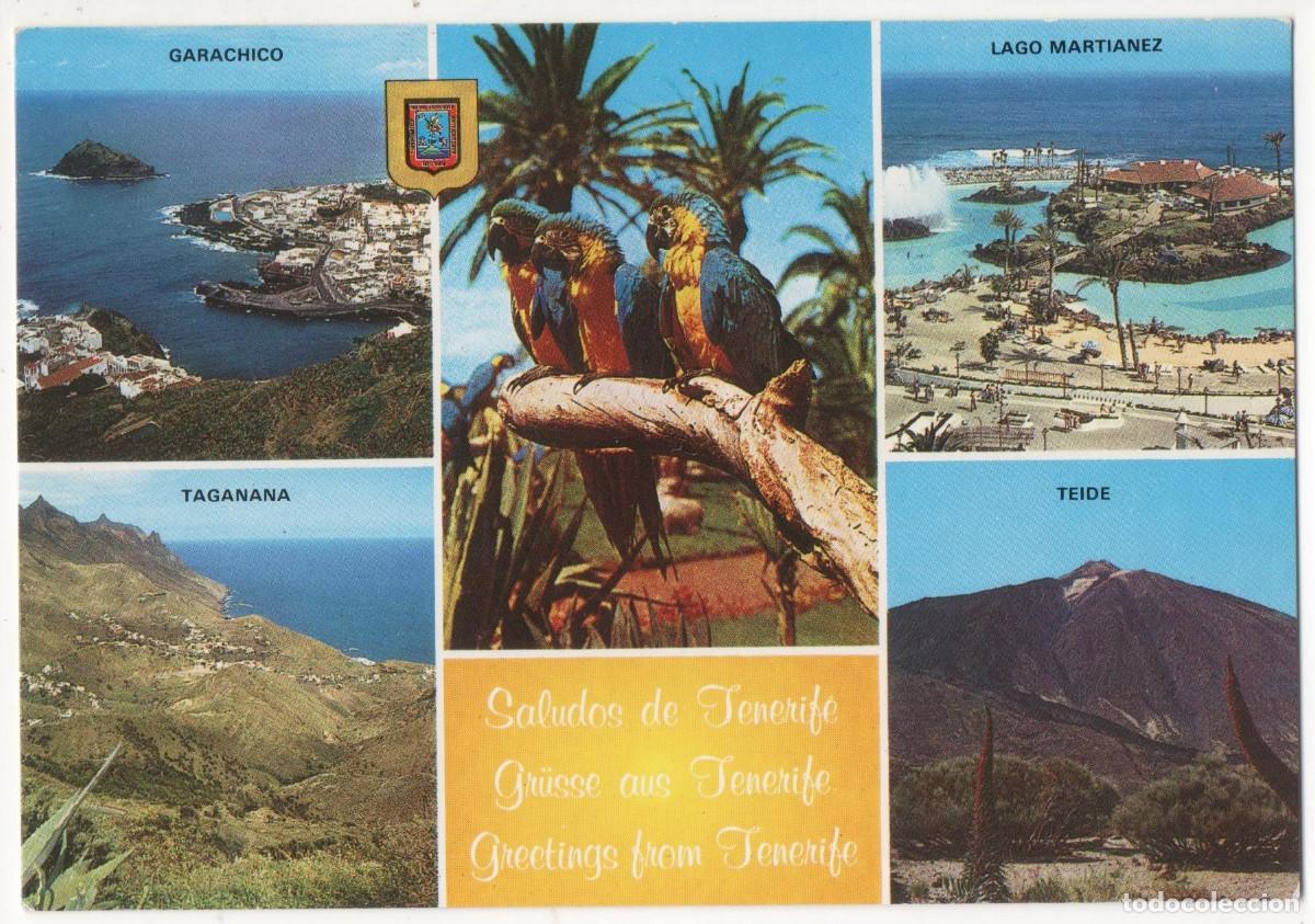 Postales: Tenerife-Escrita- - Foto 1