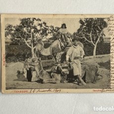 Postales: TENERIFE POSTAL CAMELLOS. EDITA BAZAR INGLES. CIRCULADA (A.1903) RARA