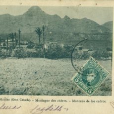 Postales: GRAN CANARIA. ALDEA SAN NICOLÁS. MONTAÑA DE LOS CEDROS. CIRCULADA EN 1903.
