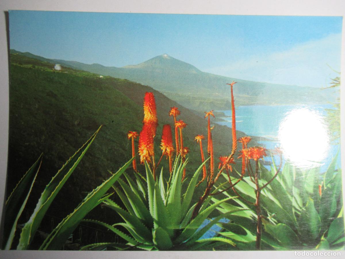 Postales: Tenerife - Flores y Teide - Foto 1