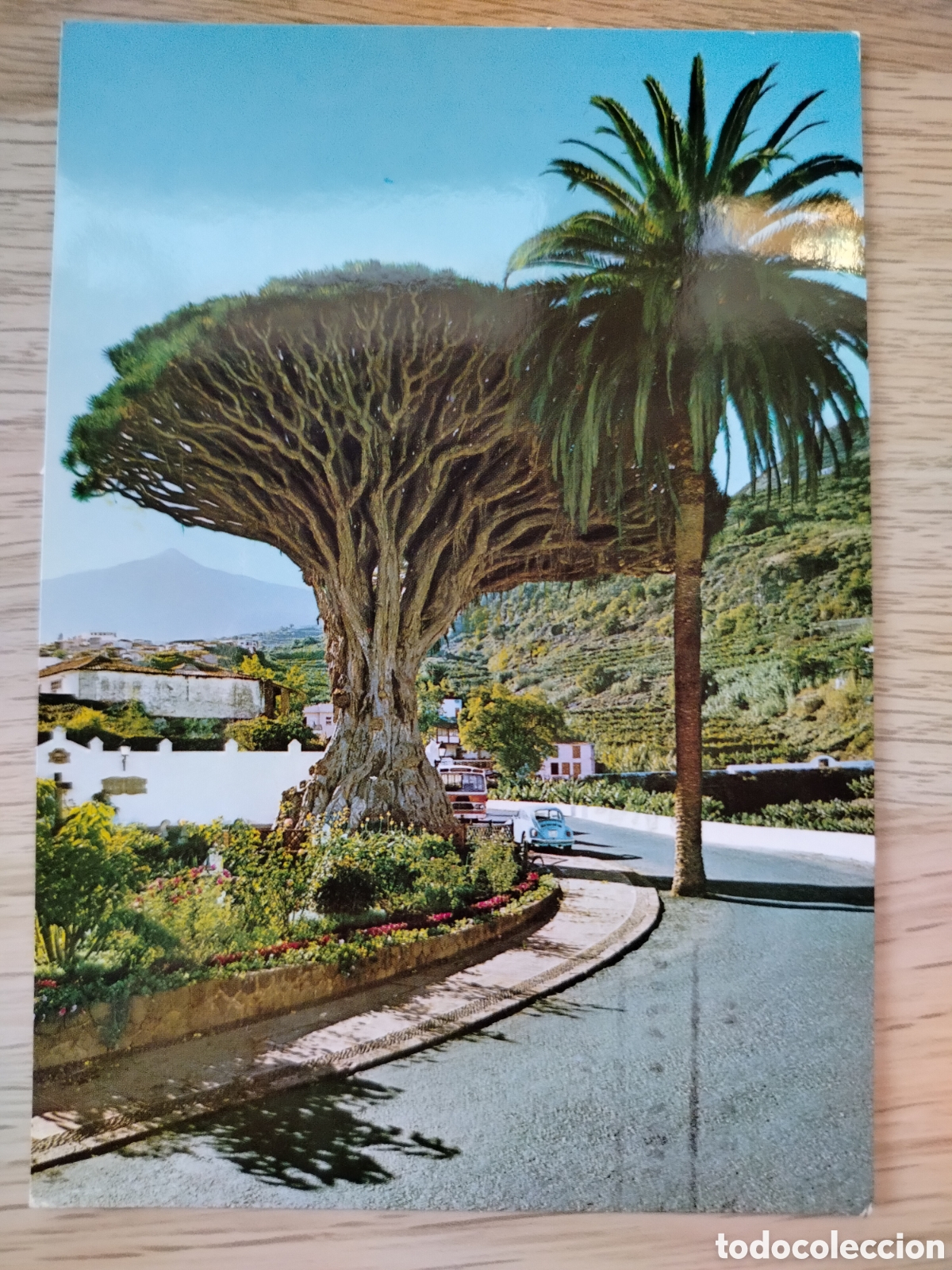 Postales: POSTAL CANARIAS TENERIFE - Foto 1