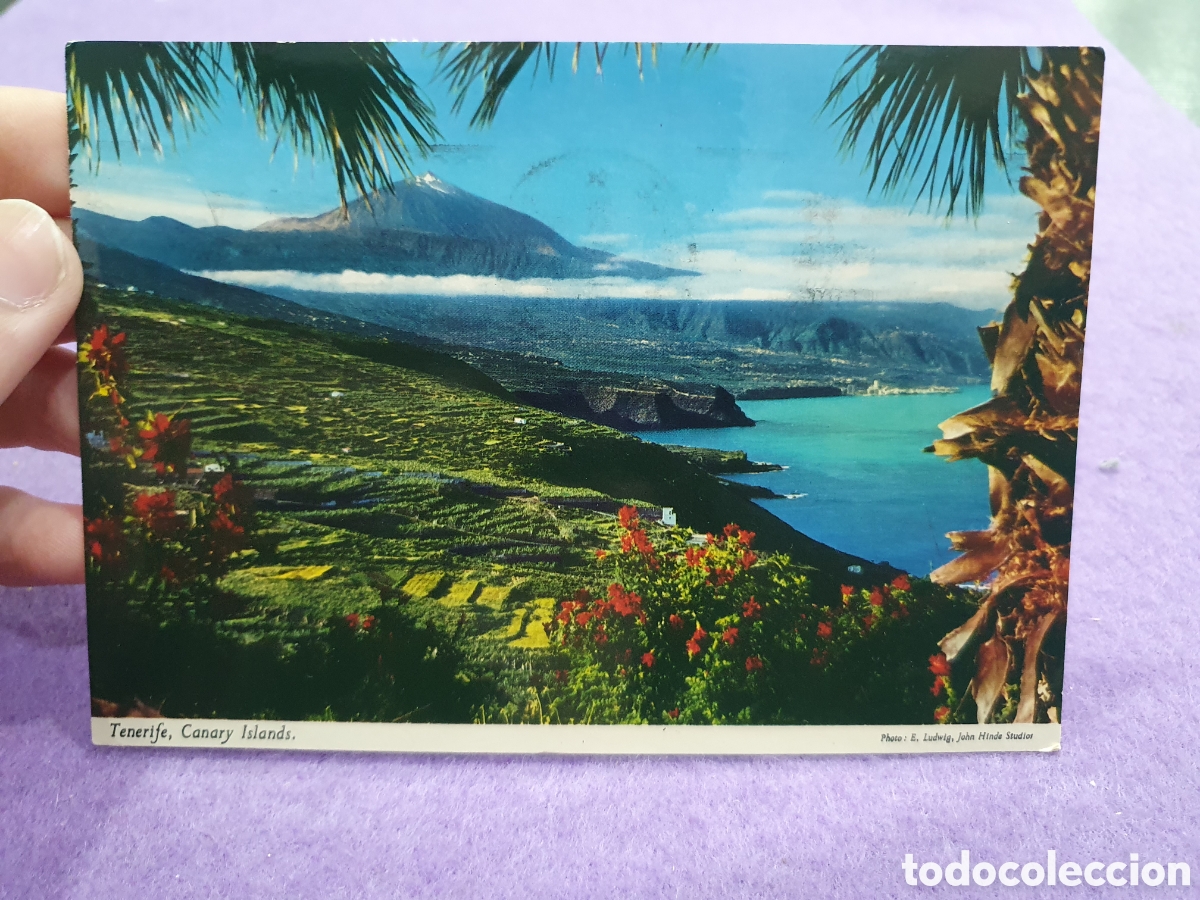 Postales: Postal Tenerife. Canarias. (L68) - Foto 1