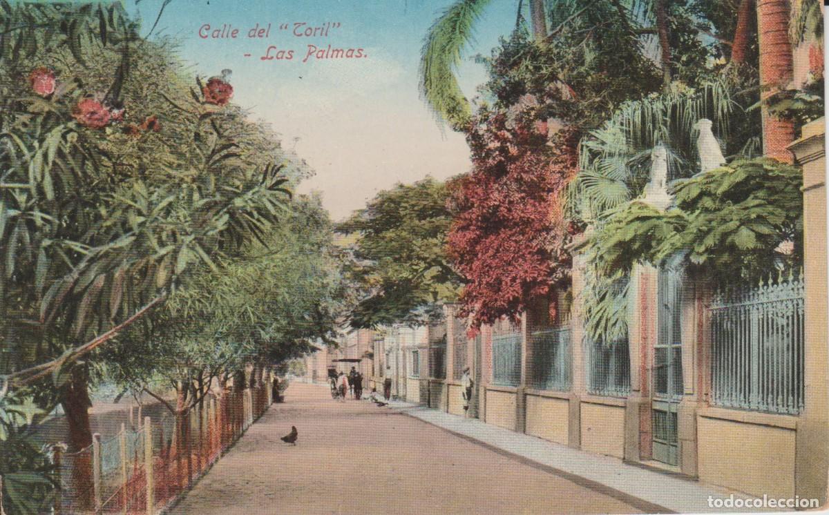 Postales: GRAN CANARIA. LAS PALMAS. CALLE DEL TORIL ... SIN CIRCULAR - Foto 1