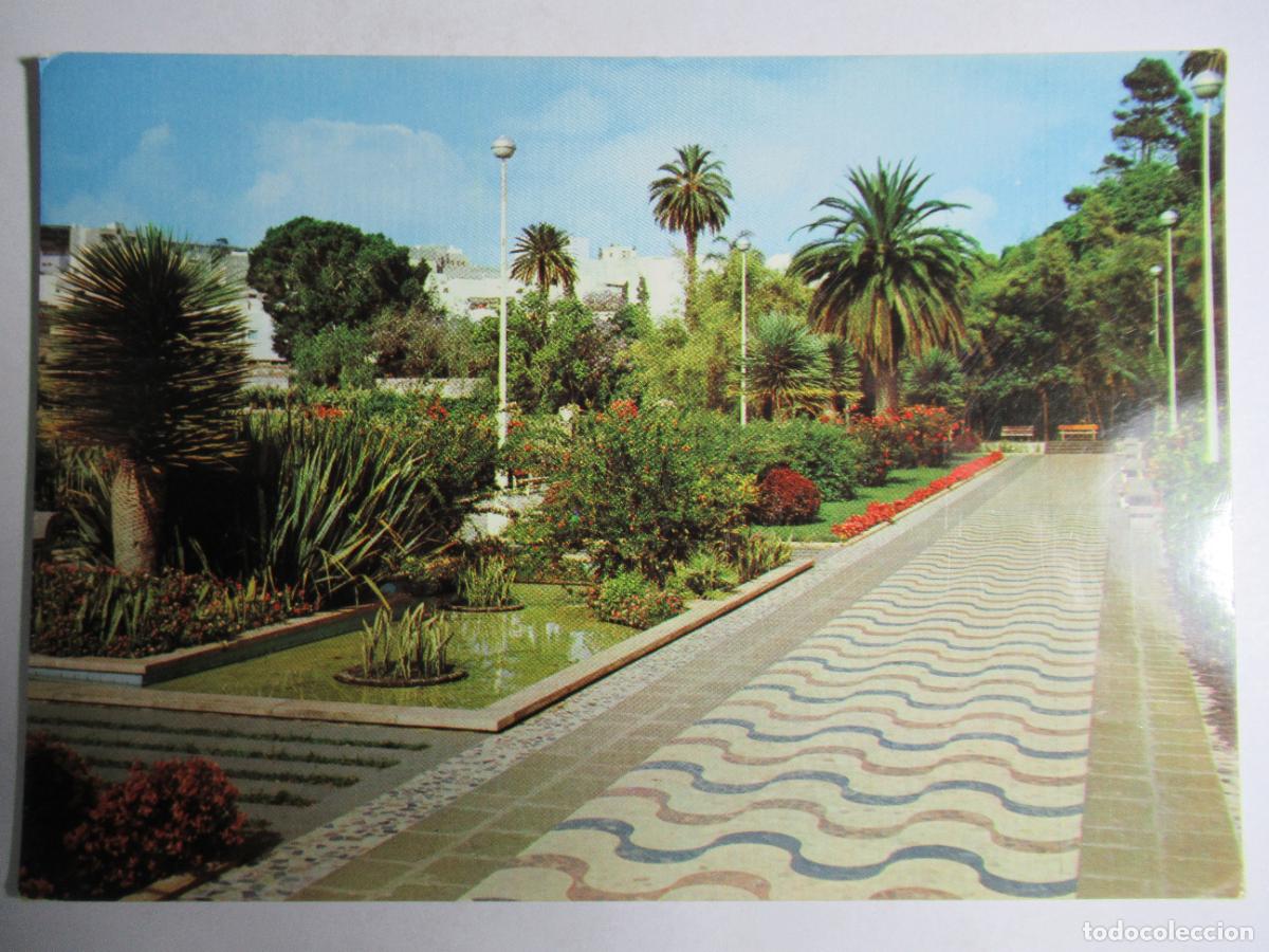Postales: Gran Canaria - Arucas. Parque - Foto 1