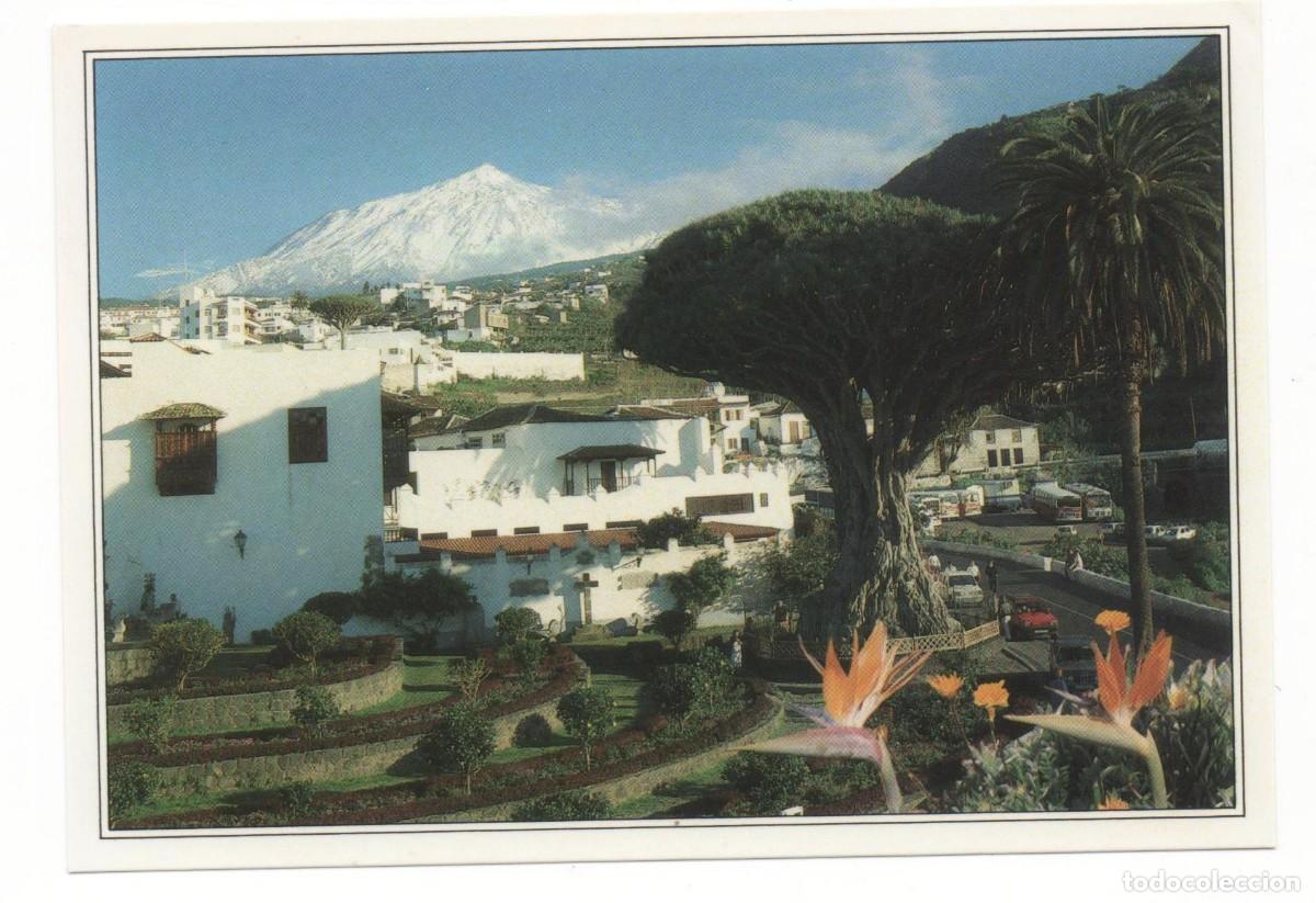 Postales: Tenerife-Icod de los Vinos-Escrita- - Foto 1