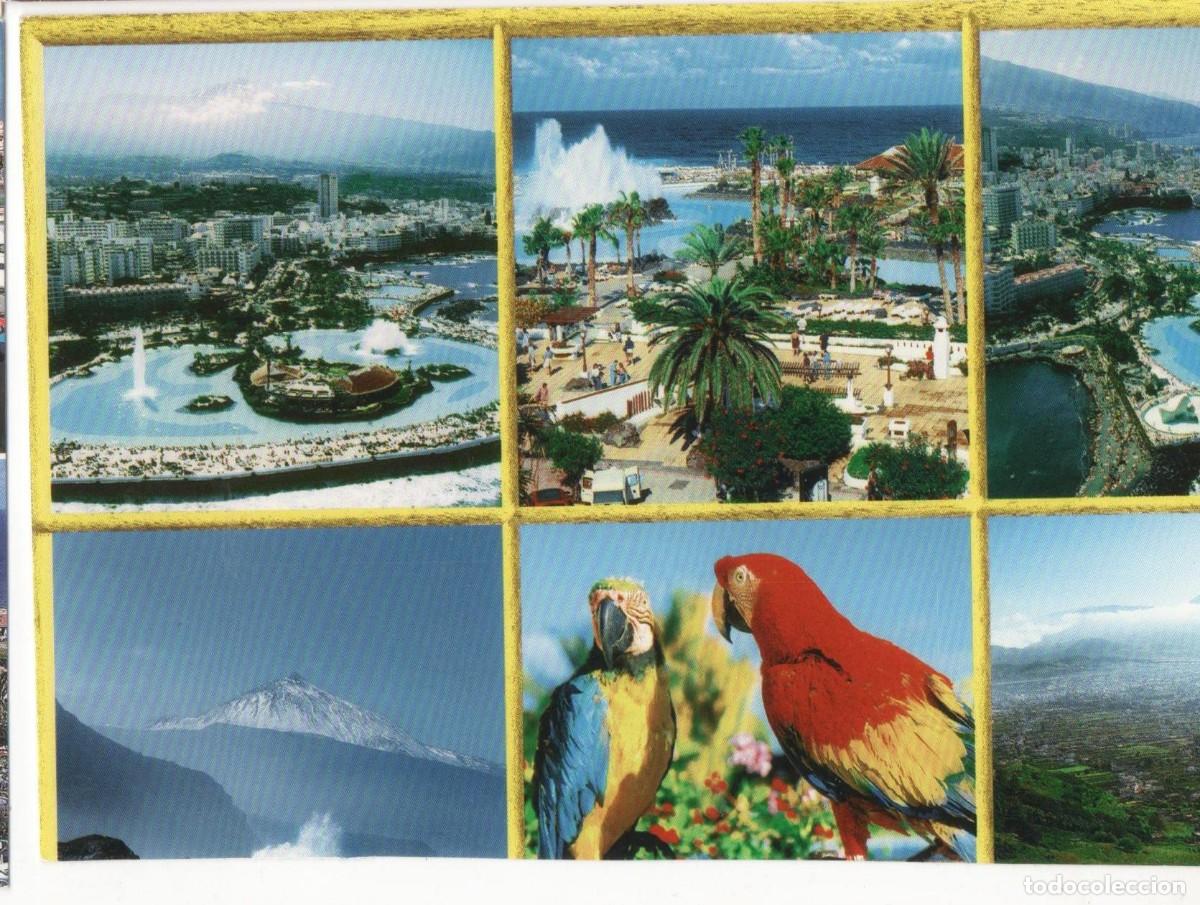 Postales: Tenerife- --circulada- - Foto 1