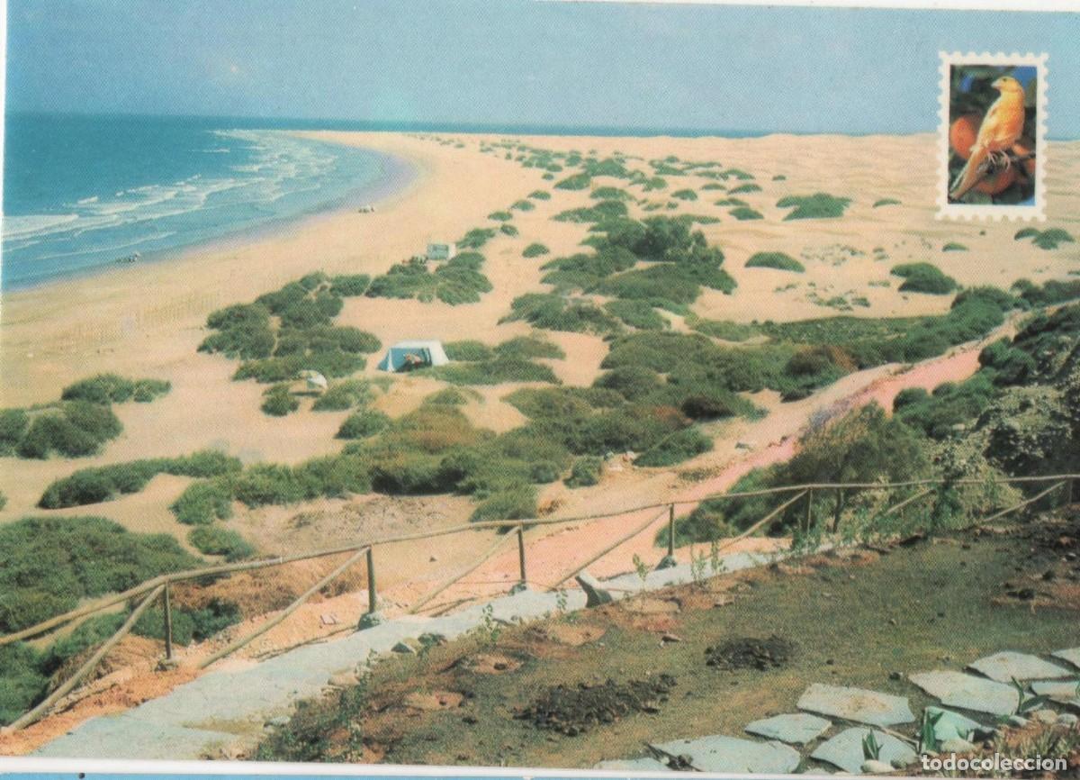Postales: Gran Canaria-Playa El Ingl&eacute;s-sin circular - Foto 1