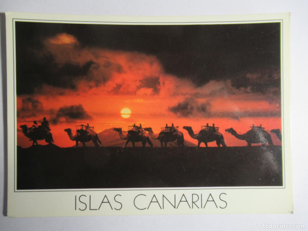 Postales: Islas Canarias - Timanfaya - Foto 1