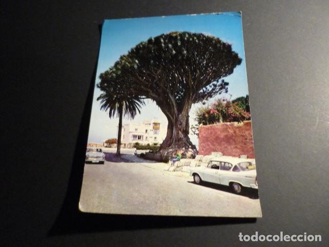 Postales: ICOD TENERIFE EL DRAGO - Foto 1