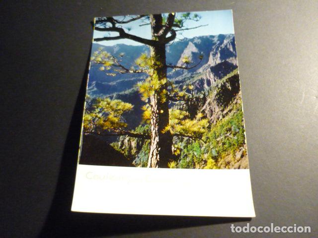 Postales: GRAN CANARIA CALDERA DE TABURIENTE - Foto 1